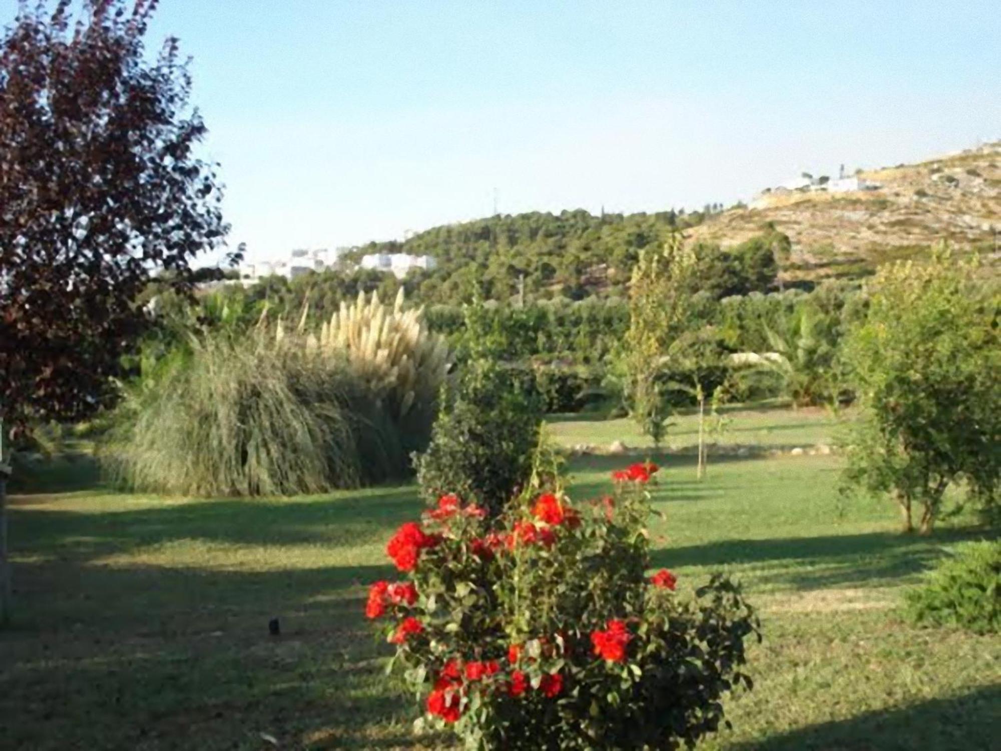 La Piana Di Calena Villa Peschici Exterior foto