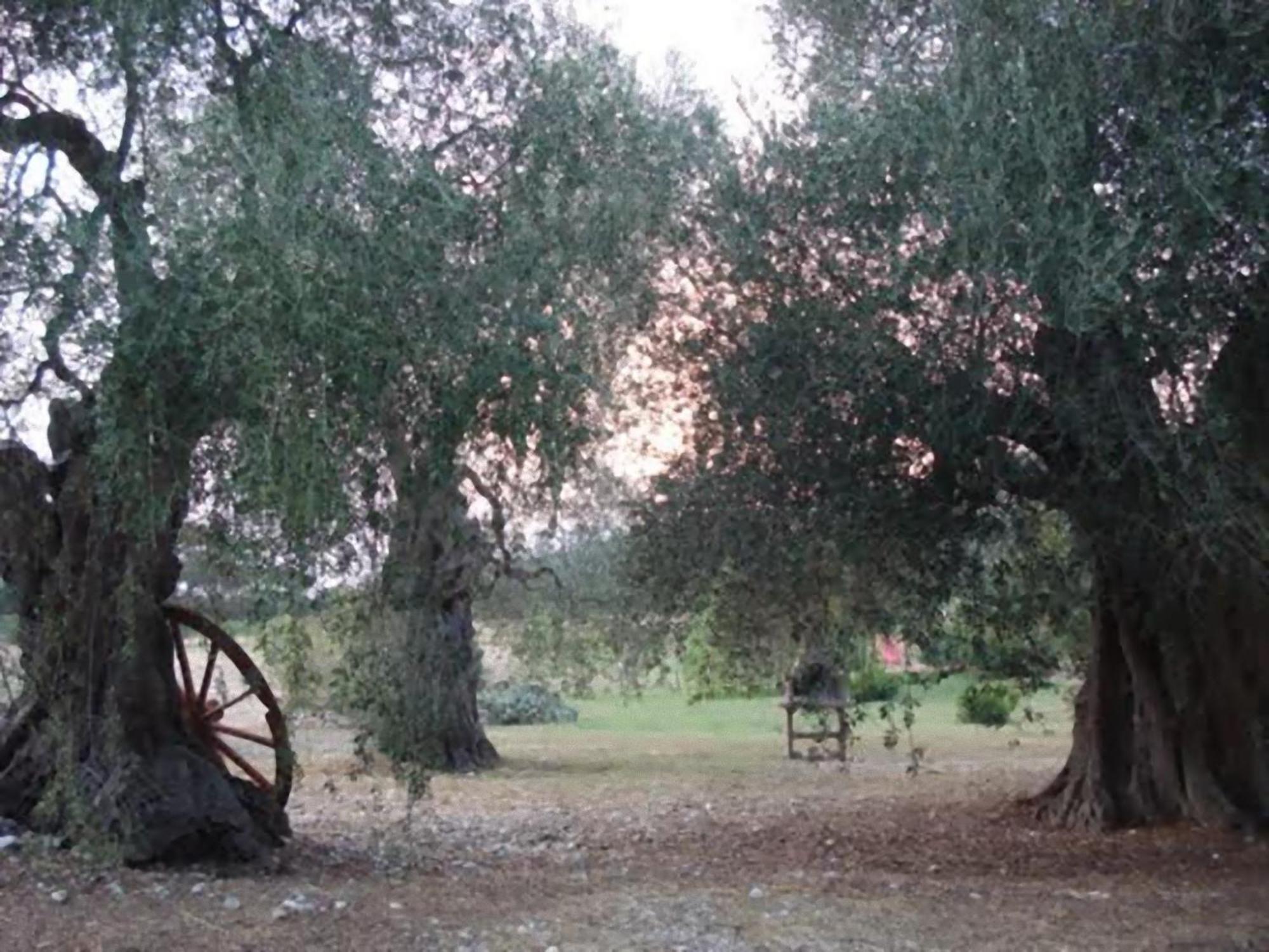 La Piana Di Calena Villa Peschici Exterior foto