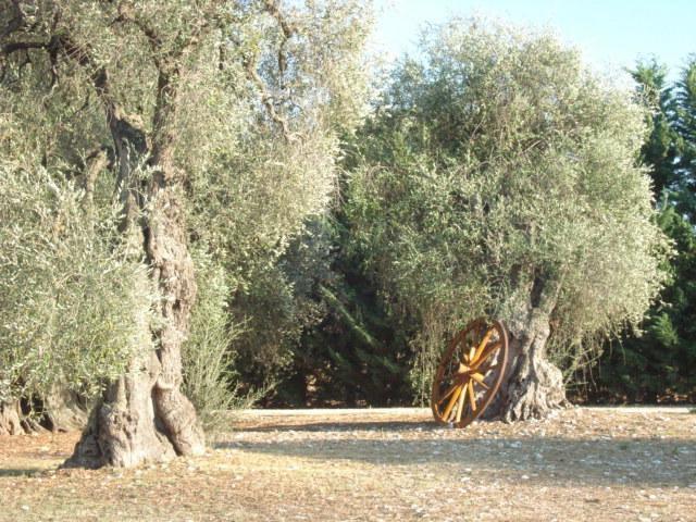 La Piana Di Calena Villa Peschici Habitación foto